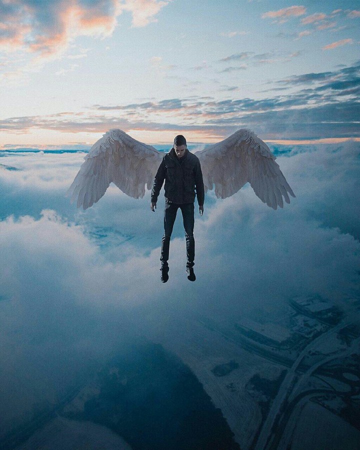 fly