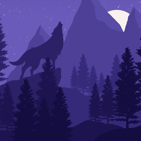 wolf
