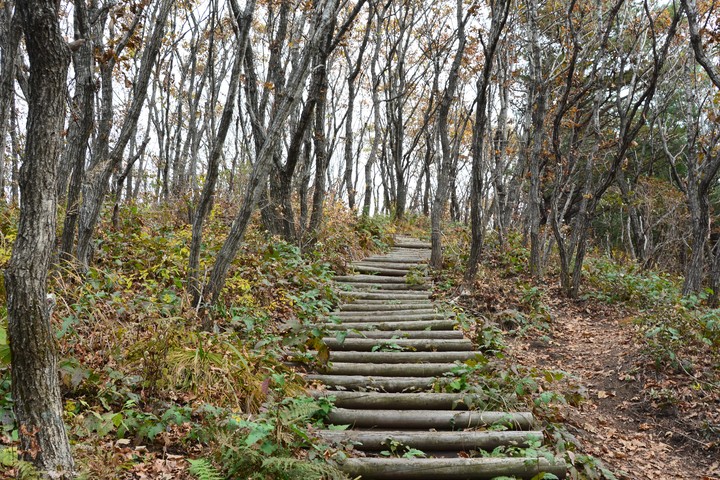 치악산이미지