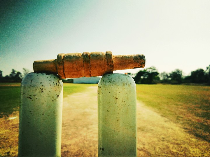 cricket