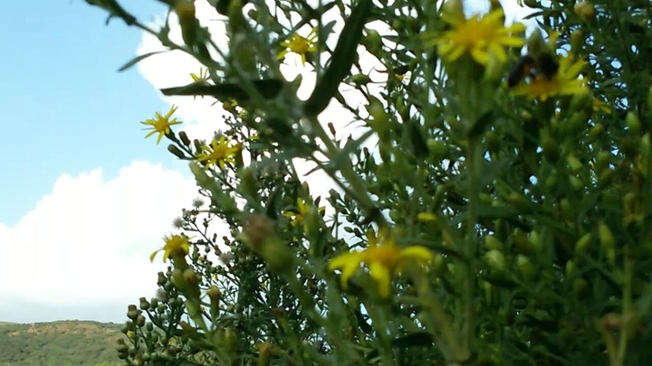 Là nature