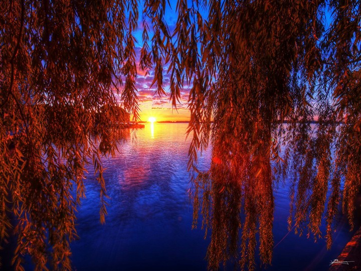 early morning