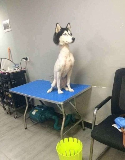 с