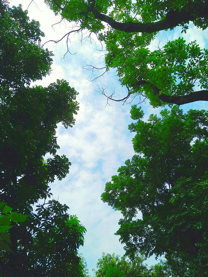 sky