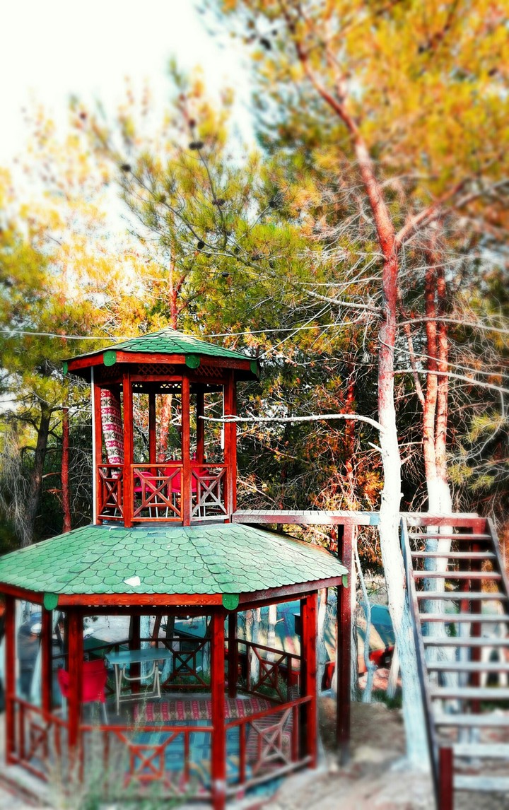 Huzurlu Hissettiriyor