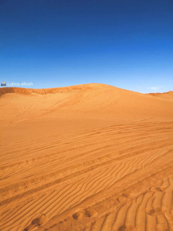 Desert