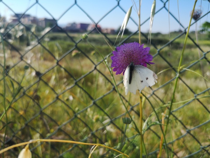 The beauty of the ephemeral