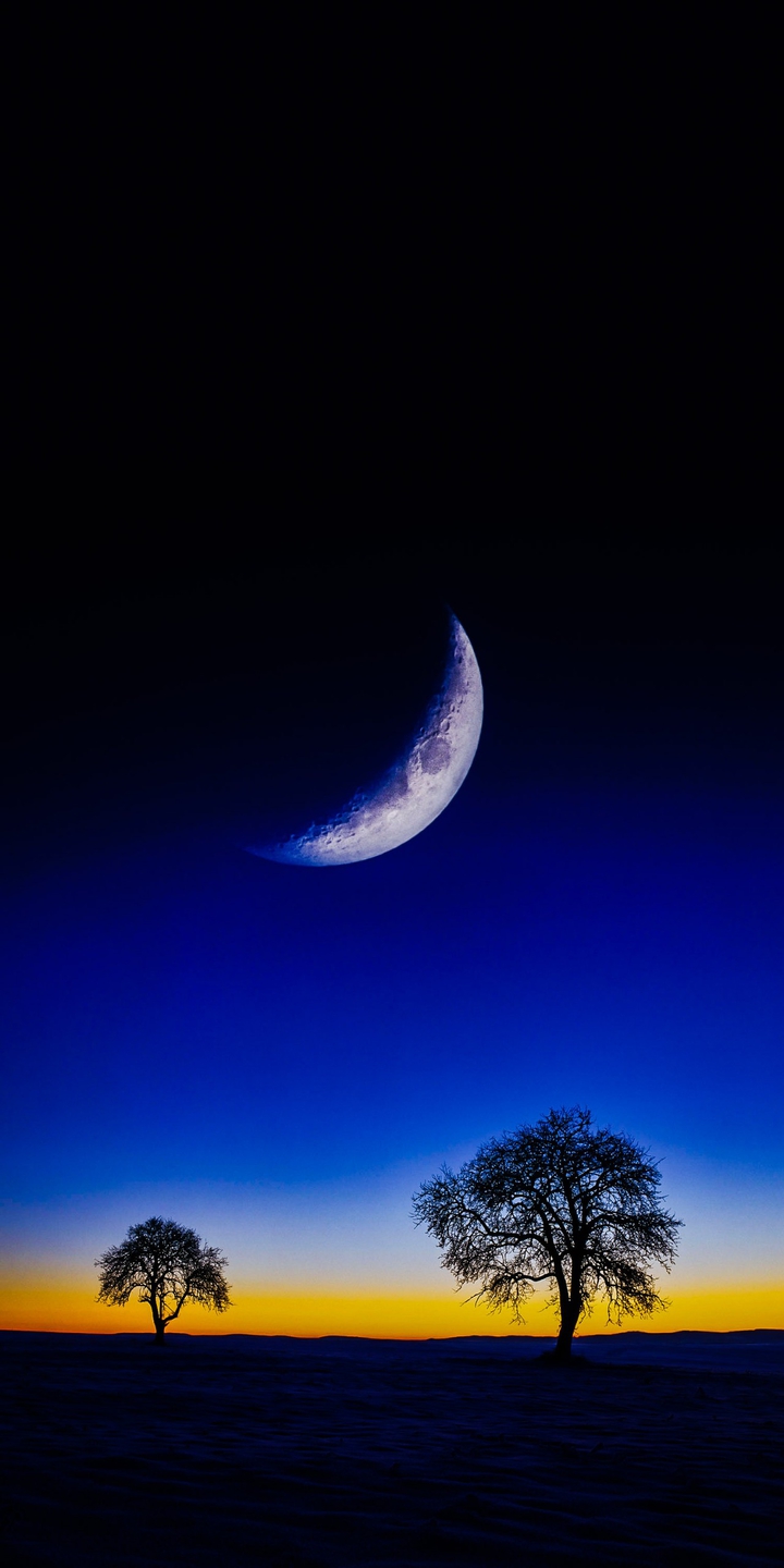night