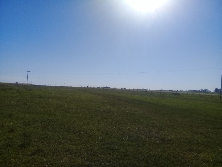 Campo Argentino