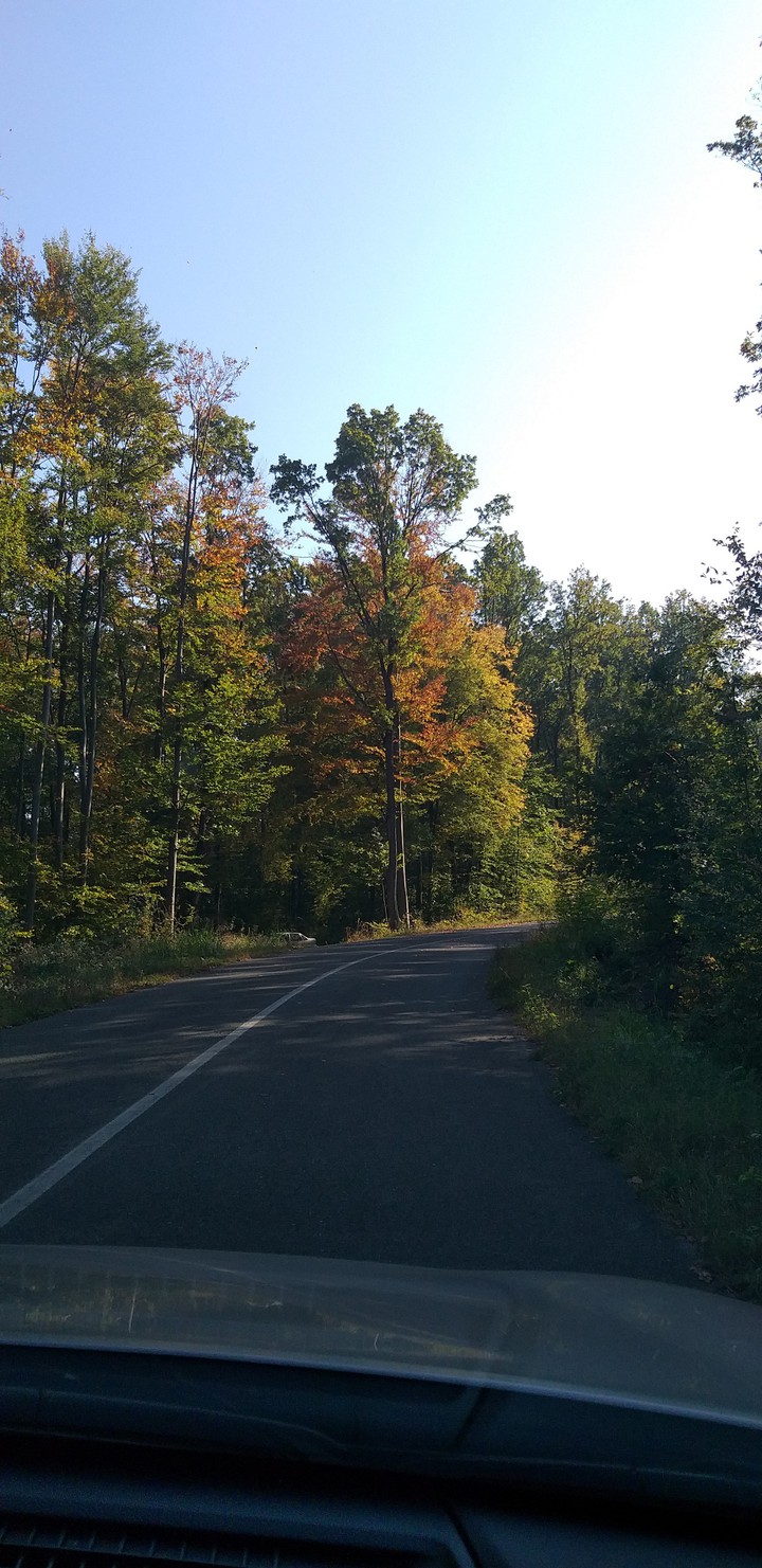 autumn