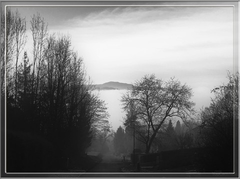 monochrome