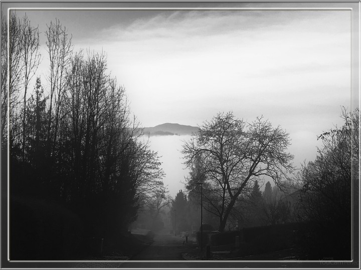 monochrome