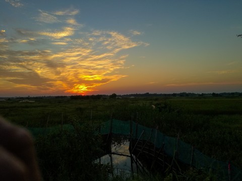 sunset