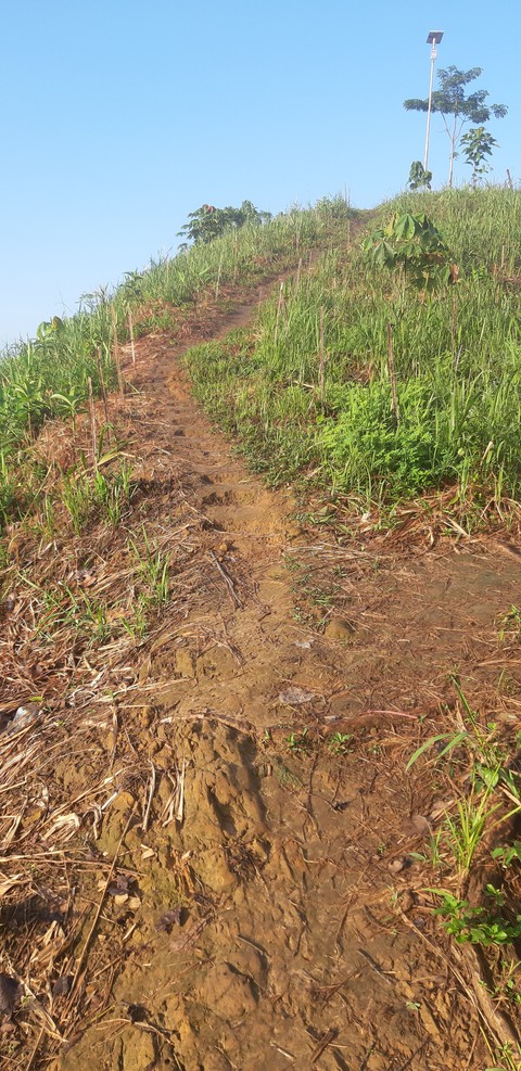 trekking