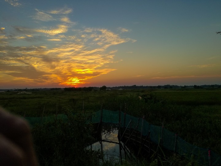sunset