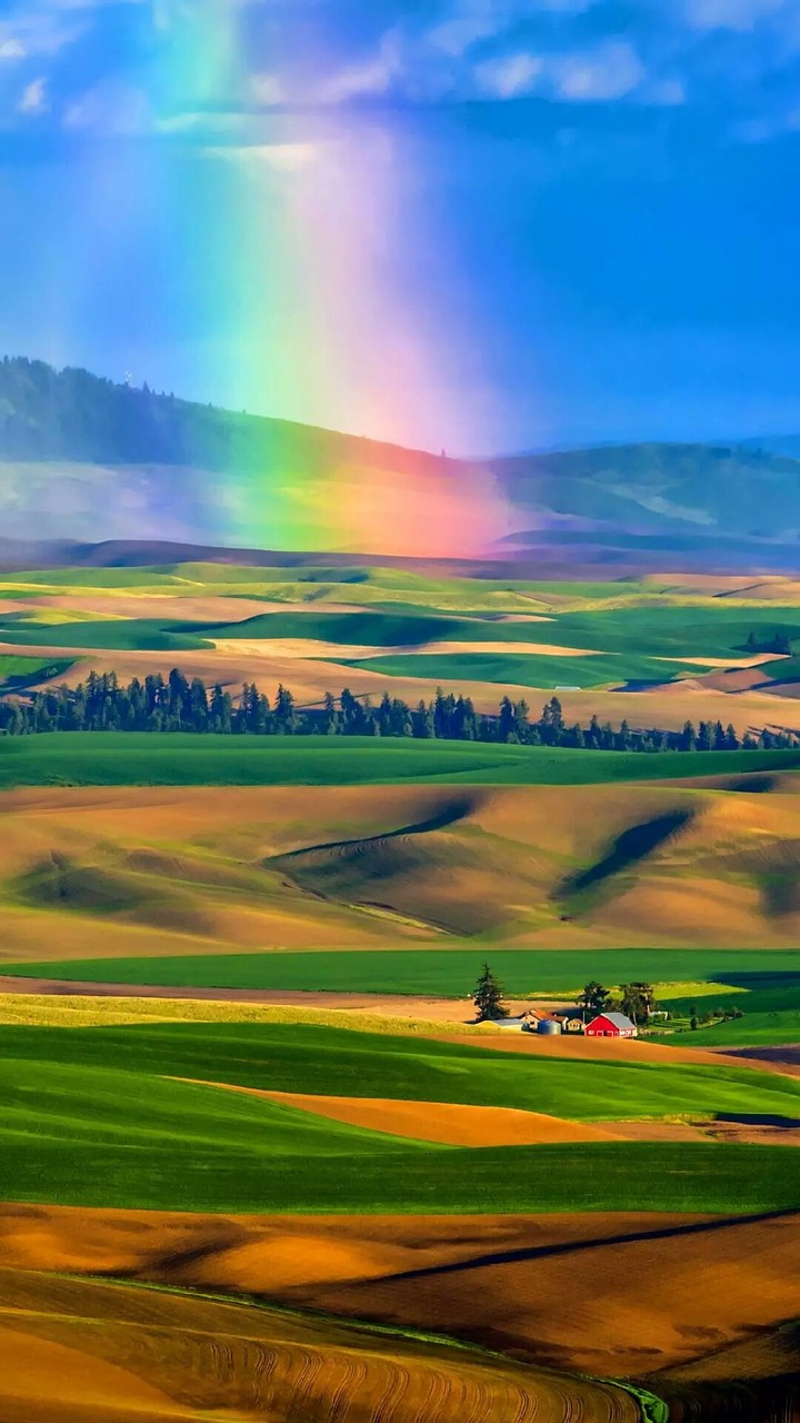 beautiful nature