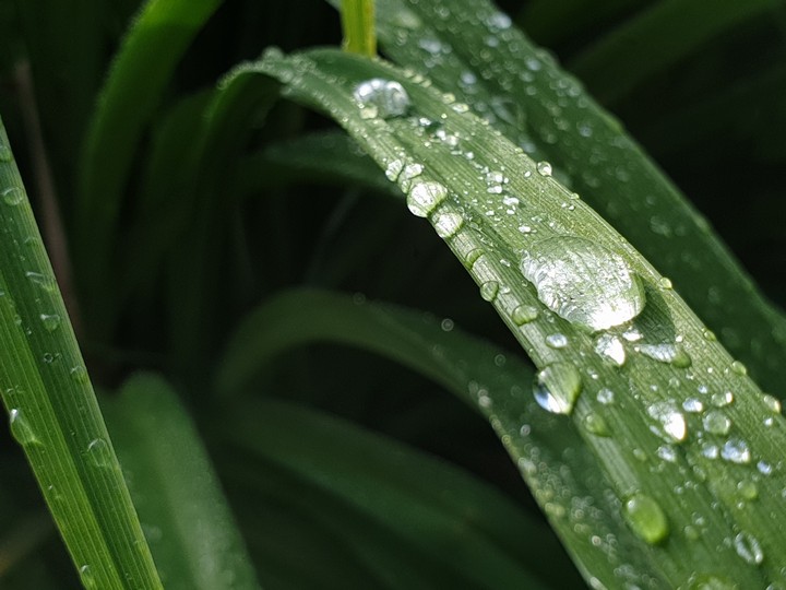 After rain
