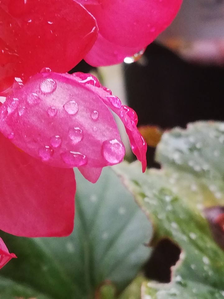 Rain