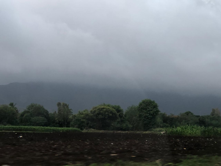the shade of rain