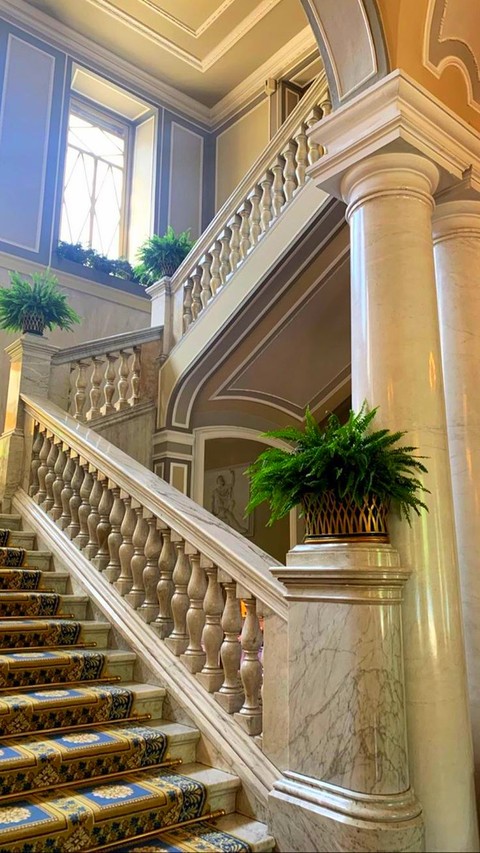 houseplant, Fixture duvar kağıtları