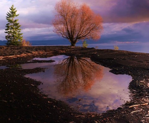 Nature