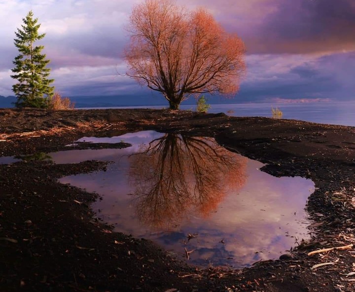 Nature