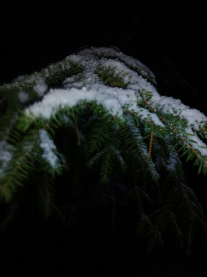 snow