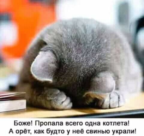прикол