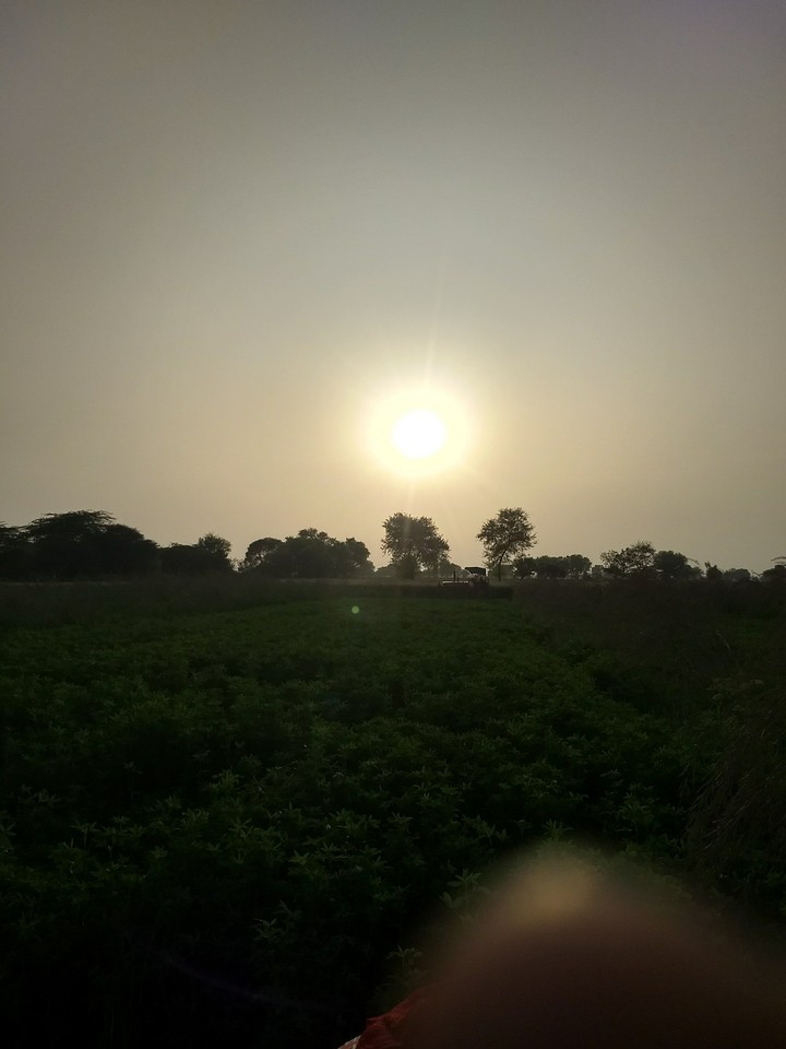 sunset