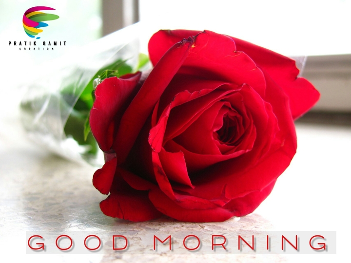 Good morning