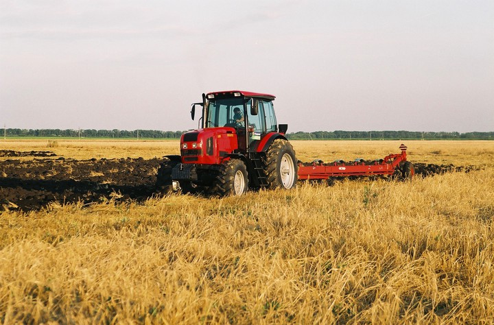 mtz