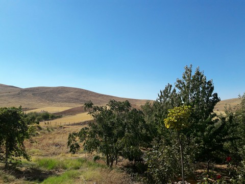 Wild of life