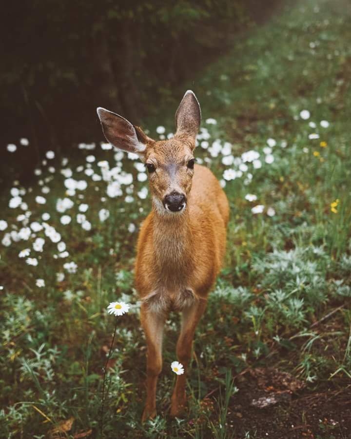 Nature