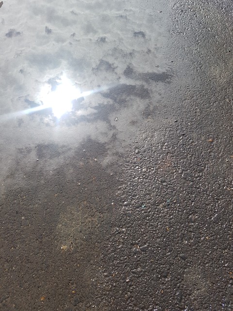 sun is everywhere