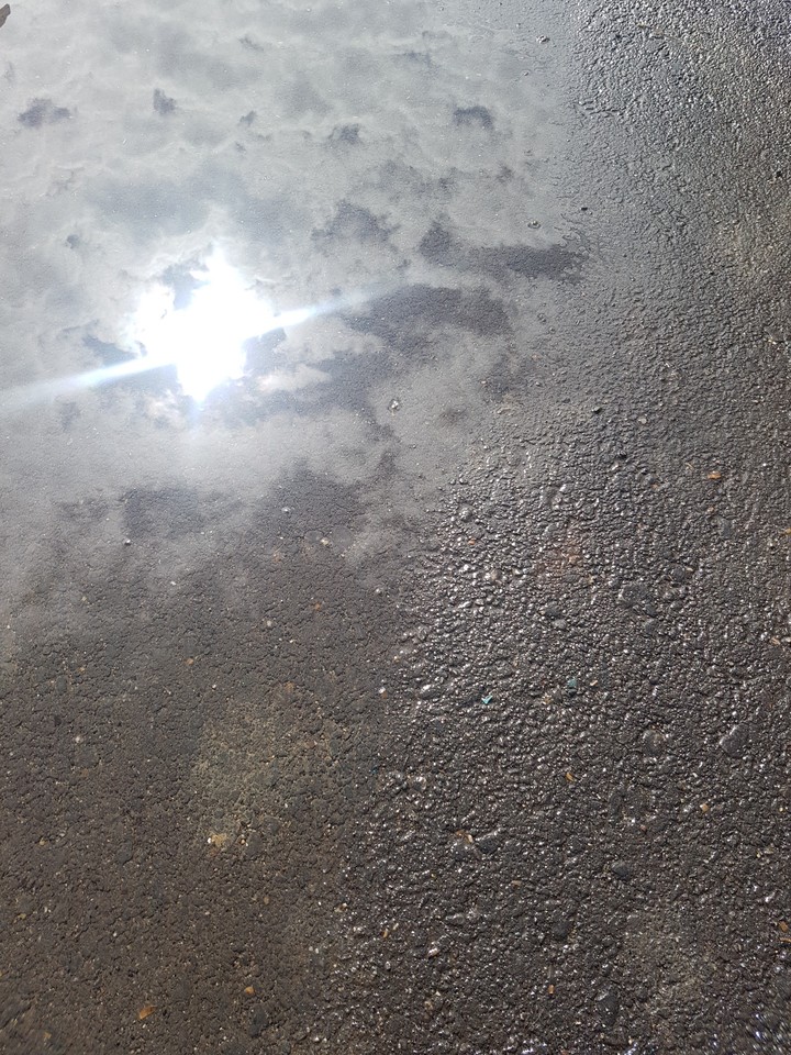 sun is everywhere