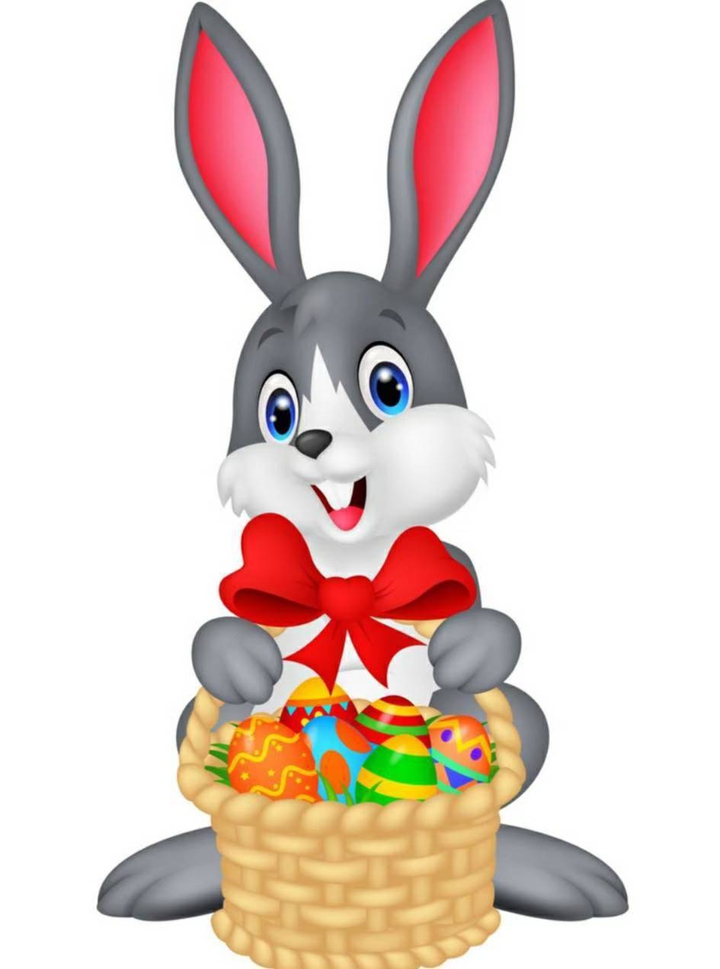 Cute rabbit