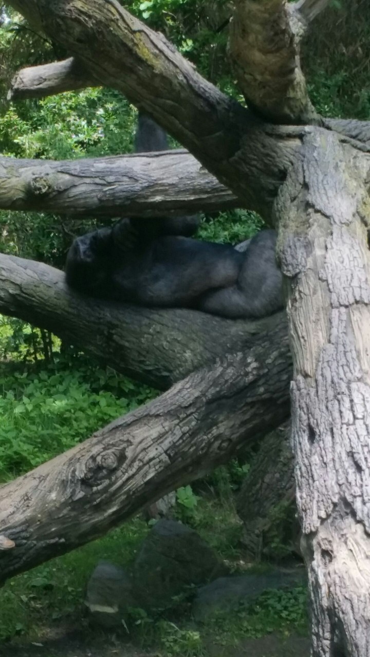 Relaxation
