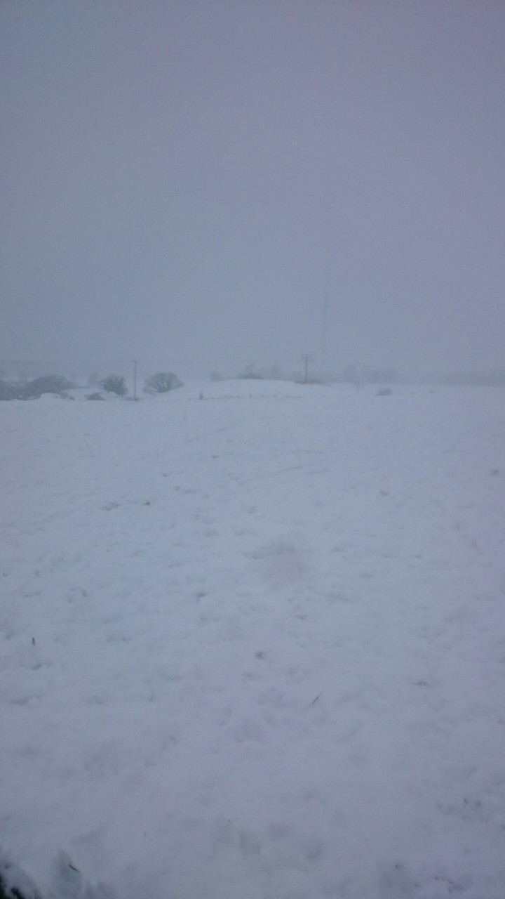 Schnee ❄