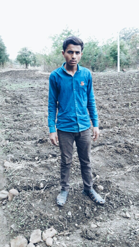 SoHEl
