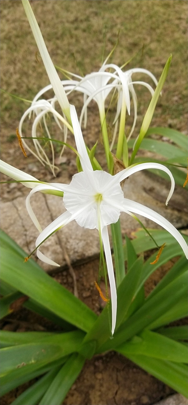 Nature love