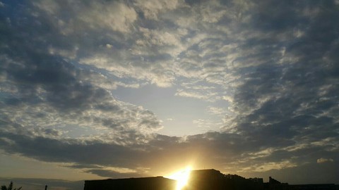 Beauty