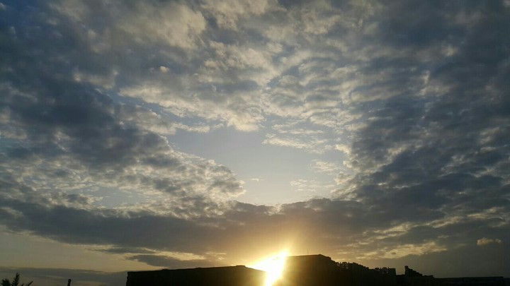 Beauty
