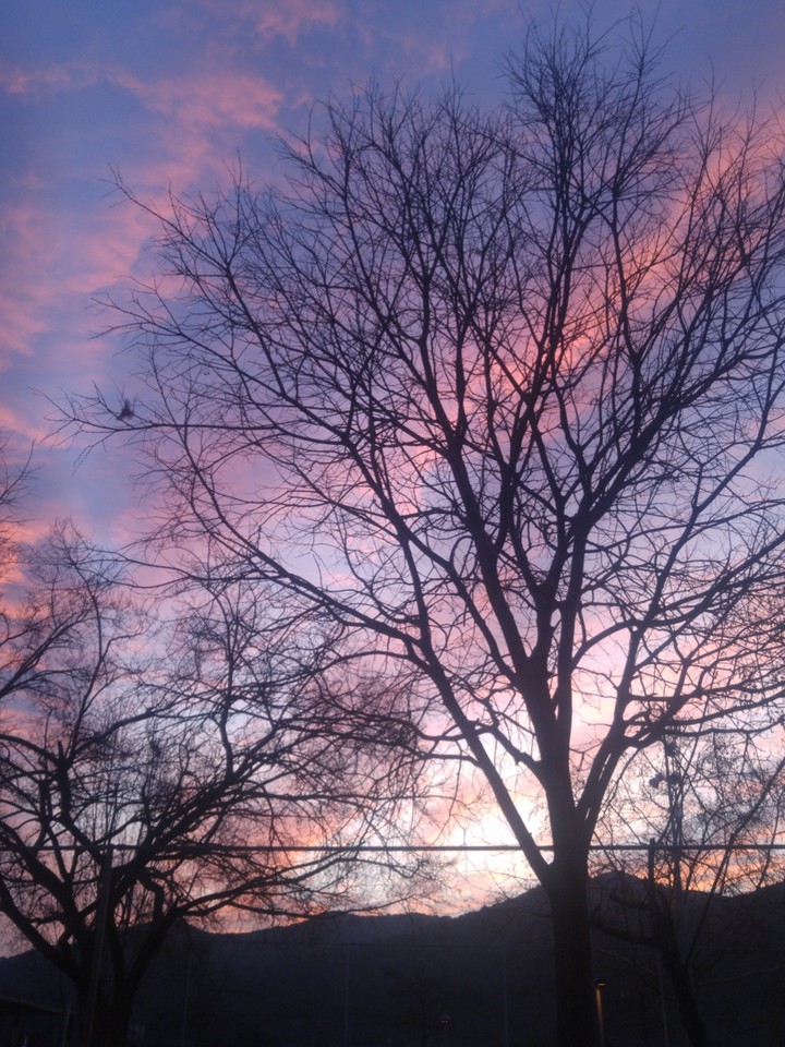 Early in the morning