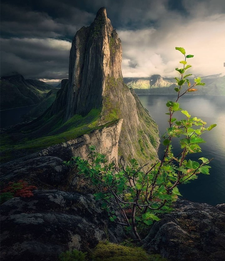 nature