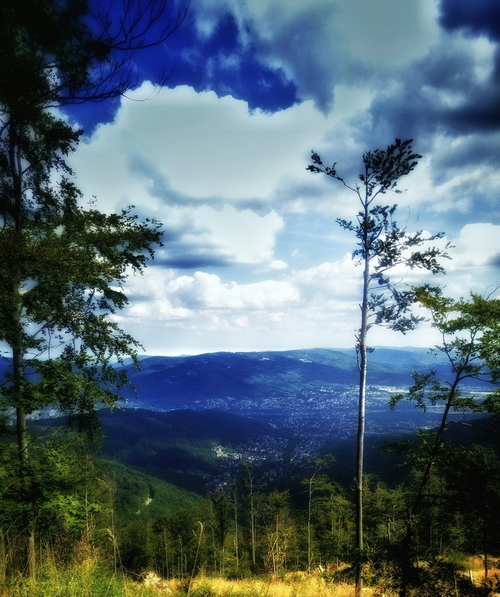 view