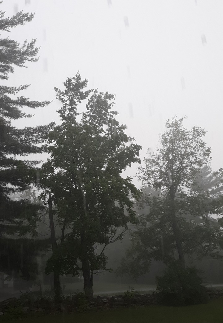 Rain
