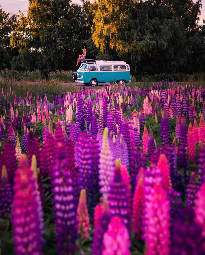 ♧~♡~♧