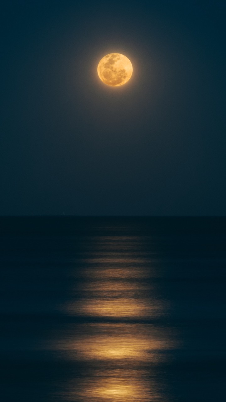 Noche