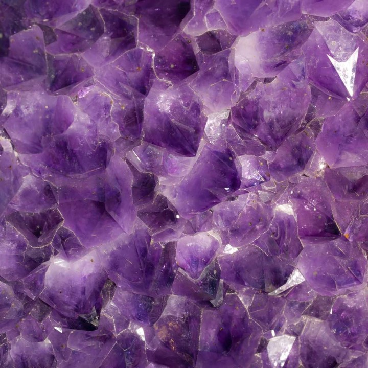 Love purple