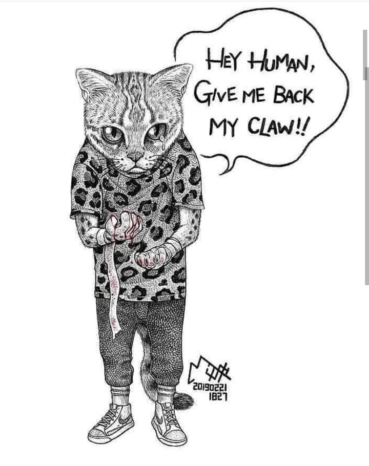 human
